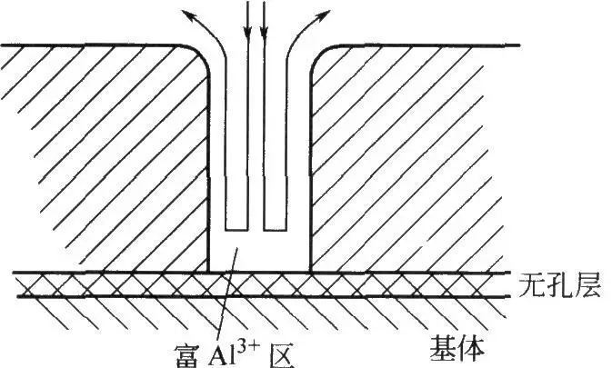 圖2電滲流過程示意